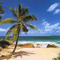 Hire ......fervor influencer with 938.9k