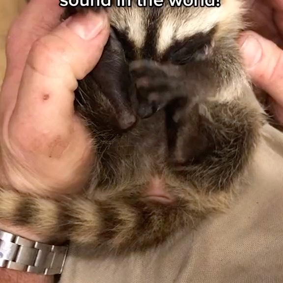  ....onnei   'recent posts' 