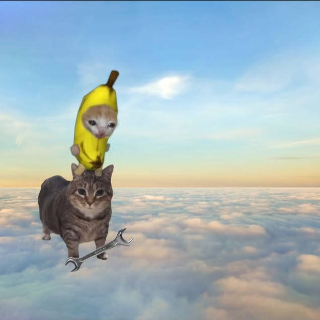  ......anacat   'recent posts' 