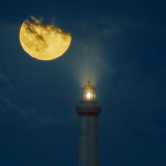  ......assano   'recent posts' 