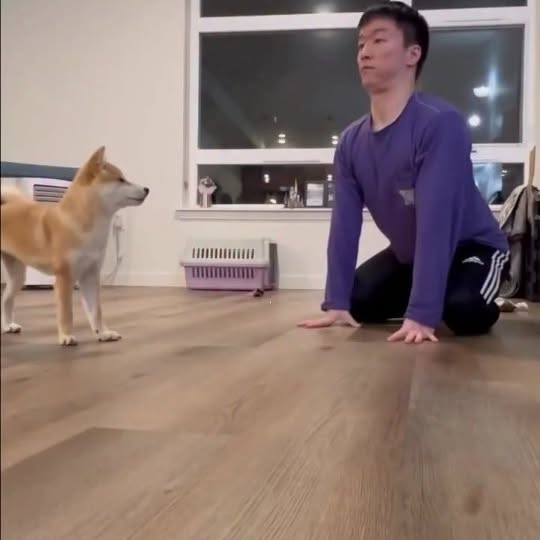  ......psworld   'recent posts' 