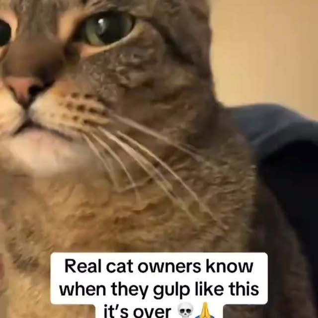  .....li9ht   'recent posts' 