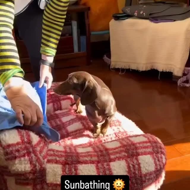  ..........fan.club_   'recent posts' 