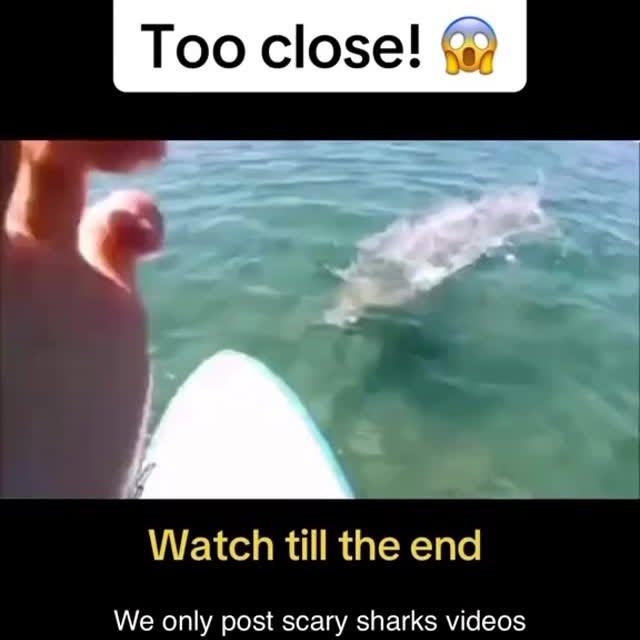  .........arkattacks   'recent posts' 