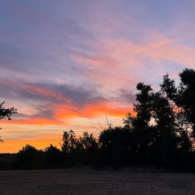  ....iseme   'recent posts' 