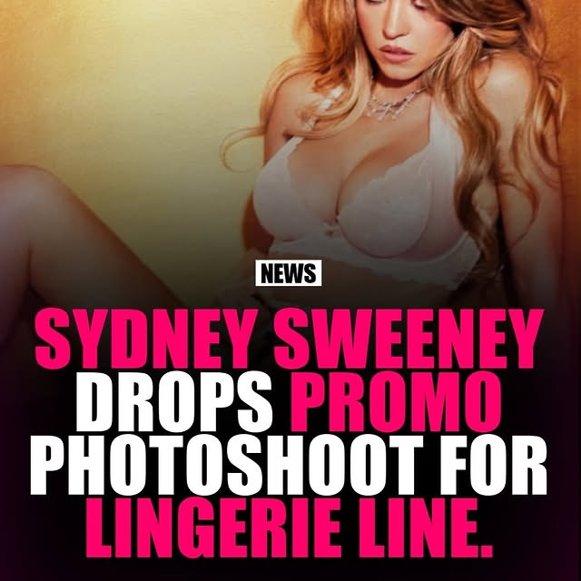  ........ndydaily   'recent posts' 