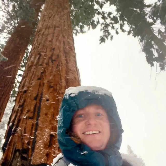  ......chmidt   'recent posts' 