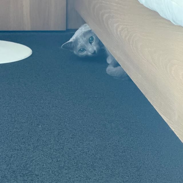  ......n_boris   'recent posts' 