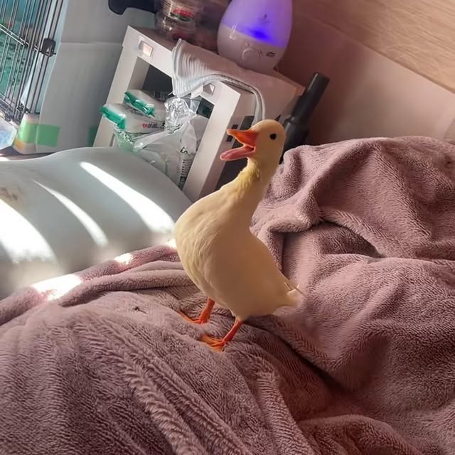  ........ckstatue   'recent posts' 