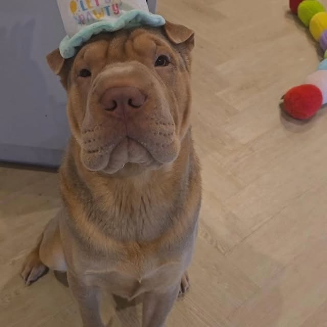  ......i.world   'recent posts' 