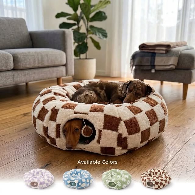  ..........fan.club_   'recent posts' 