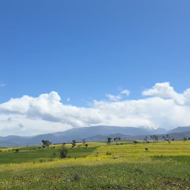  .....ature   'recent posts' 