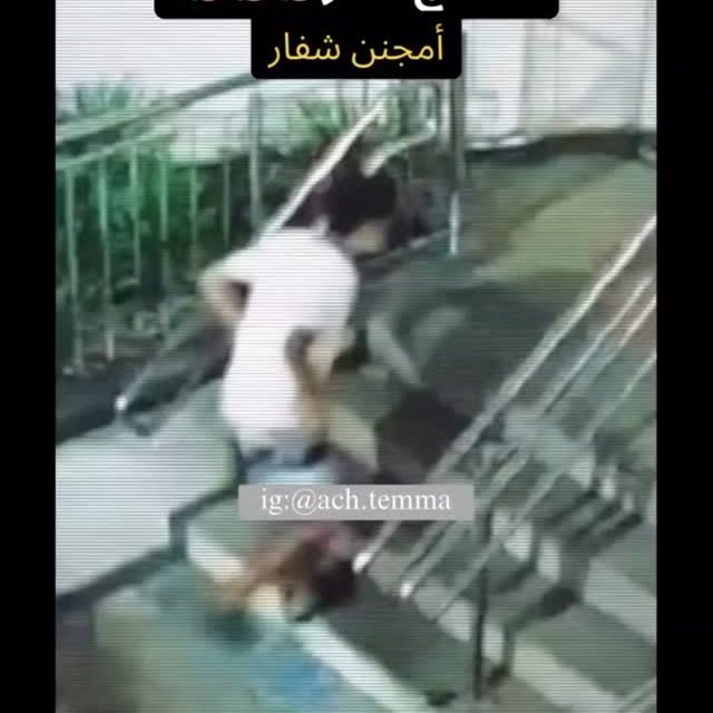  ....temma   'recent posts' 