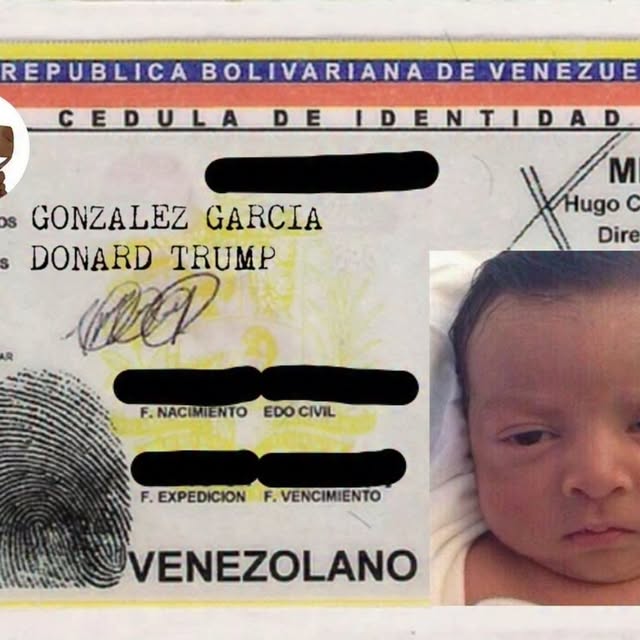  ........eliculas   'recent posts' 