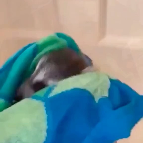  ....onnei   'recent posts' 