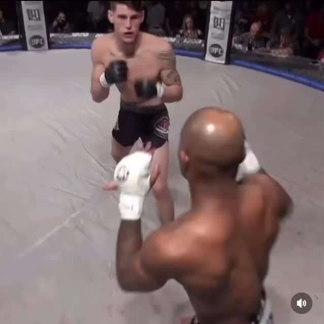  ...sado   'recent posts' 