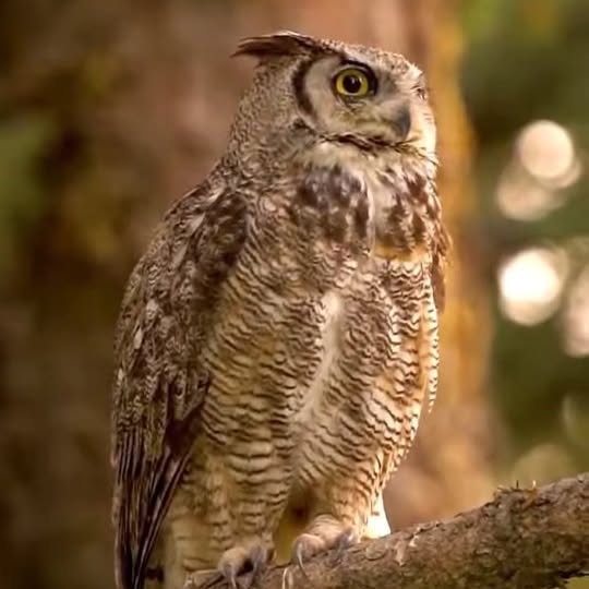  ........vacations   'recent posts' 