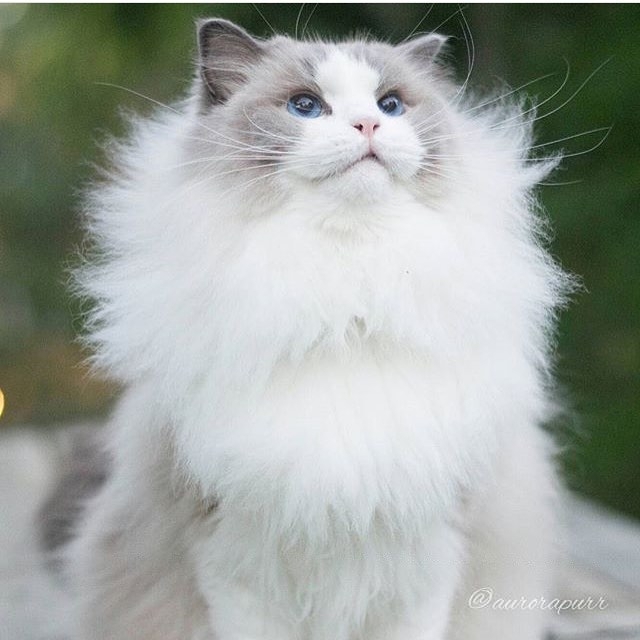  ......isloves   'recent posts' 