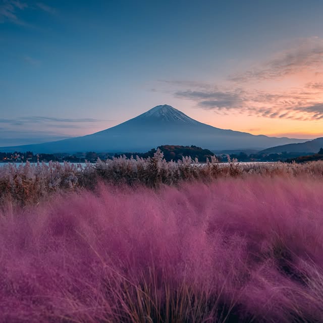  .....horpe   'recent posts' 