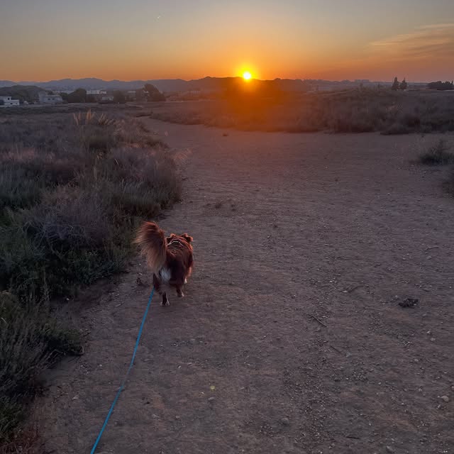  .....og2020   'recent posts' 