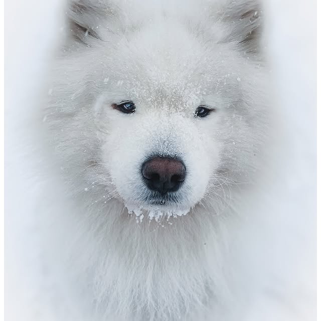  ........dventures   'recent posts' 