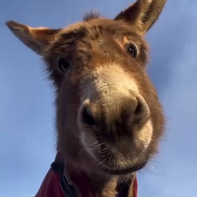  ........unlocked   'recent posts' 