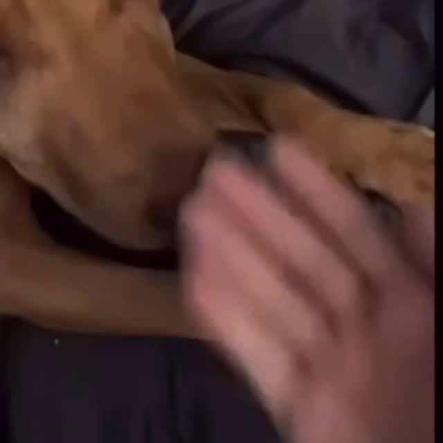  .....narchy   'recent posts' 