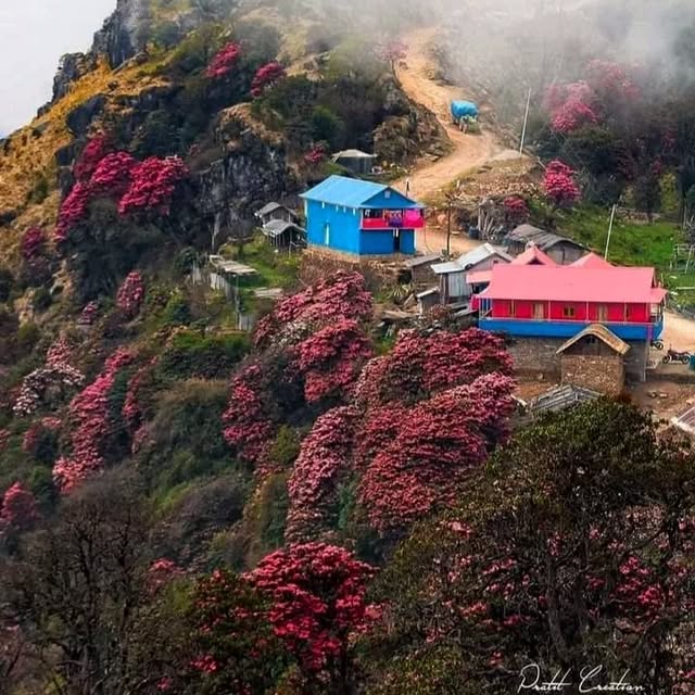  ........ll_nepal   'recent posts' 