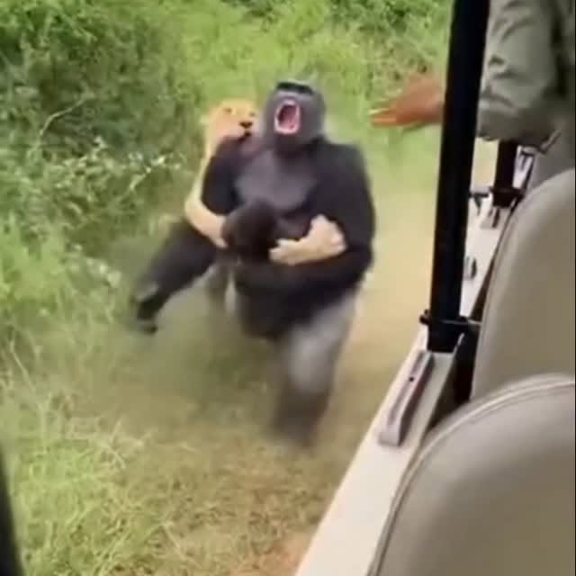  .......plorers   'recent posts' 