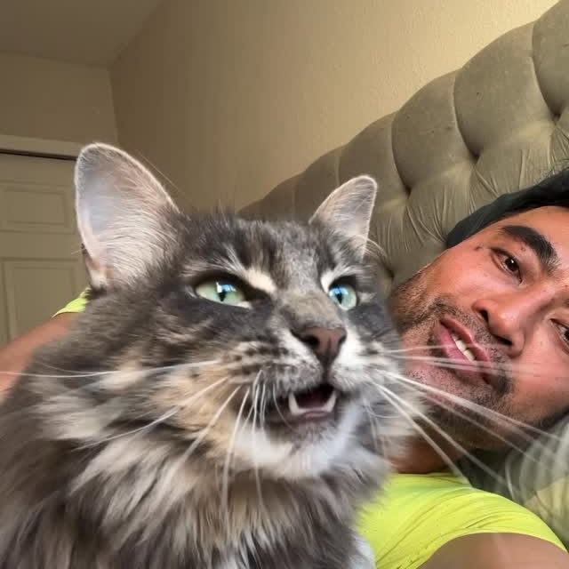  ......kekkek   'recent posts' 