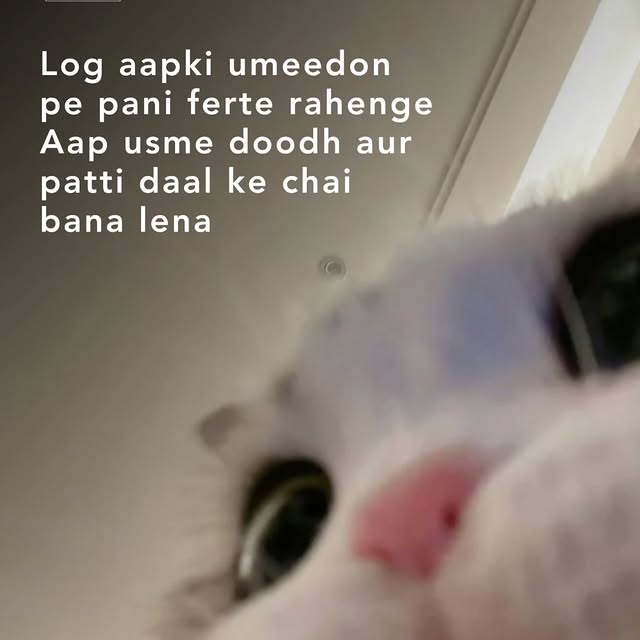  .......dstories   'recent posts' 