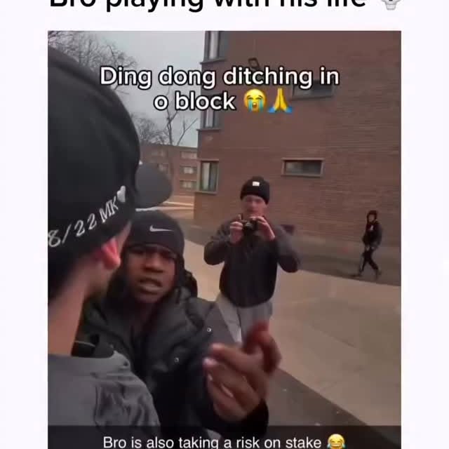  ......trikes   'recent posts' 