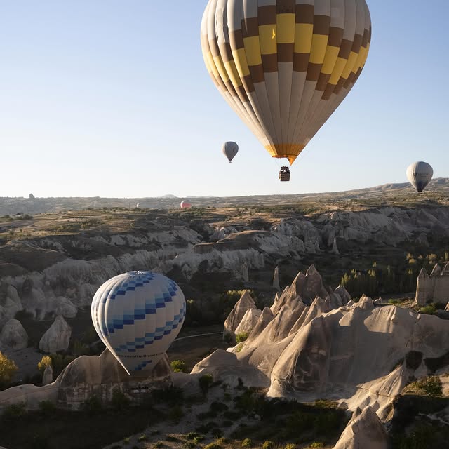  ......lacarte   'recent posts' 