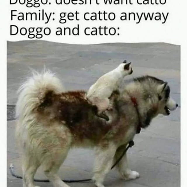  .......ndrulzz   'recent posts' 