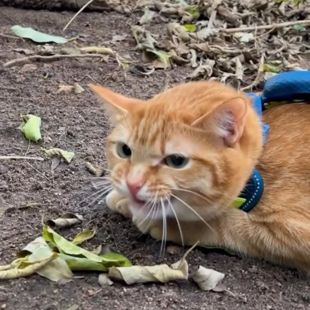  ......kekkek   'recent posts' 