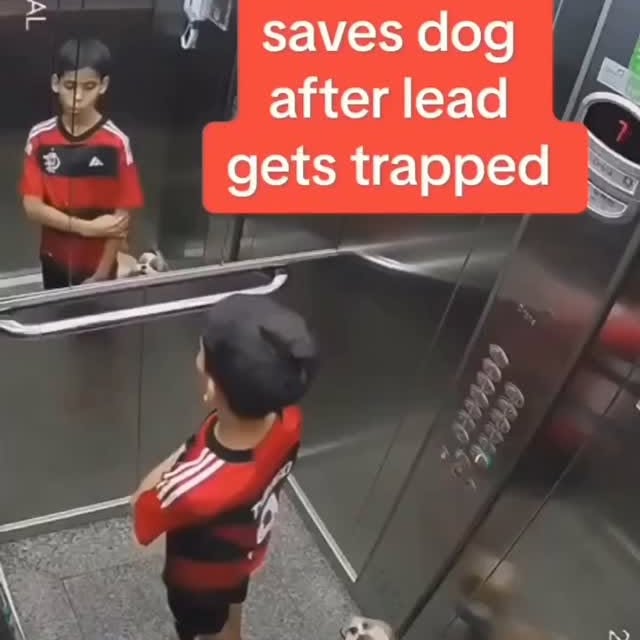  ......estige   'recent posts' 