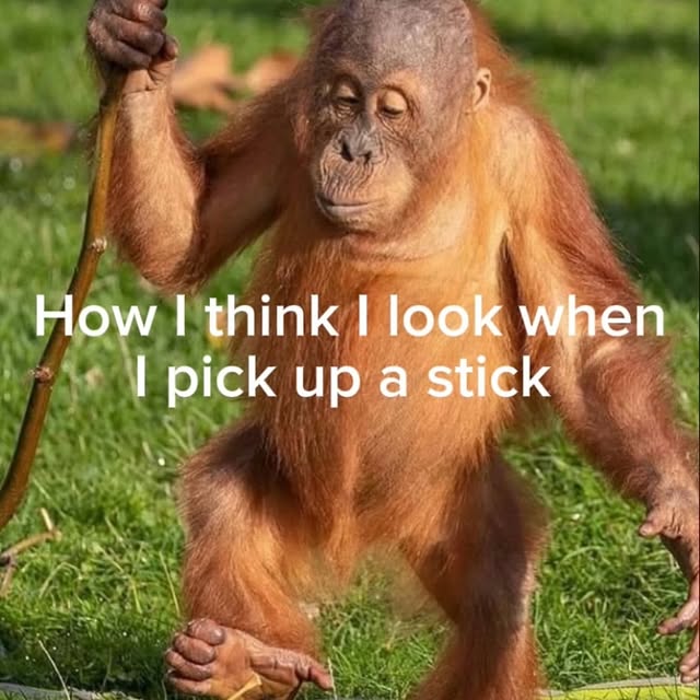  .......posting   'recent posts' 