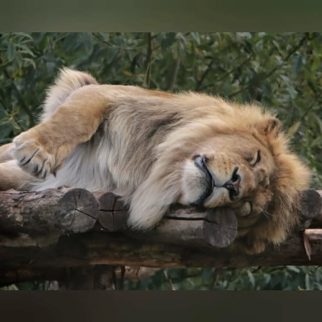  ......fehood   'recent posts' 