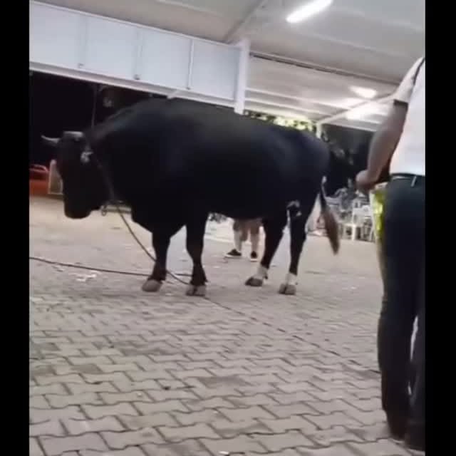  ........_bones_z   'recent posts' 