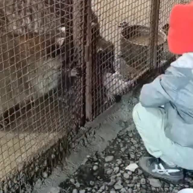  .........lavanzadeh   'recent posts' 