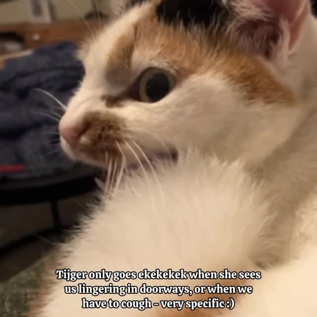  ......kekkek   'recent posts' 