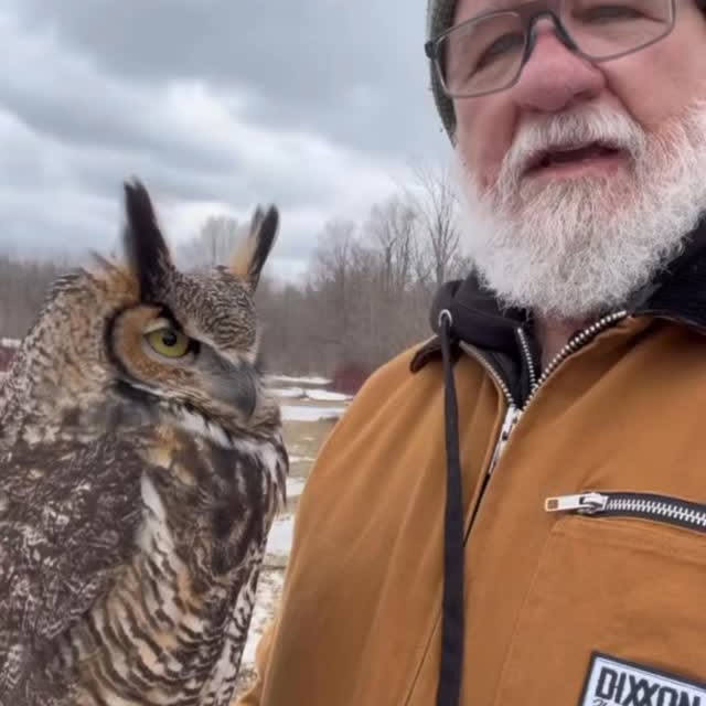  ........._jokes1982   'recent posts' 