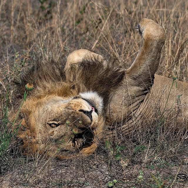  .........._sightings   'recent posts' 