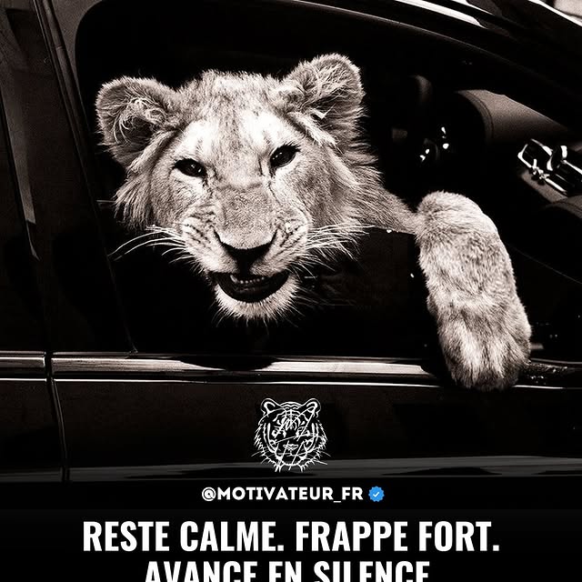  ......teur_fr   'recent posts' 