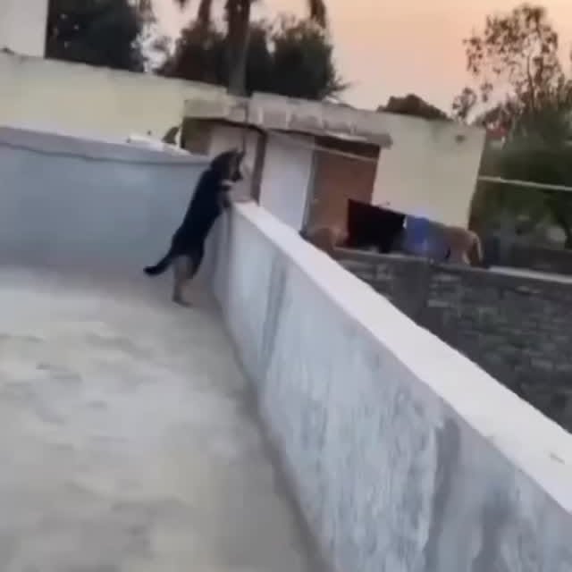  ....iming   'recent posts' 