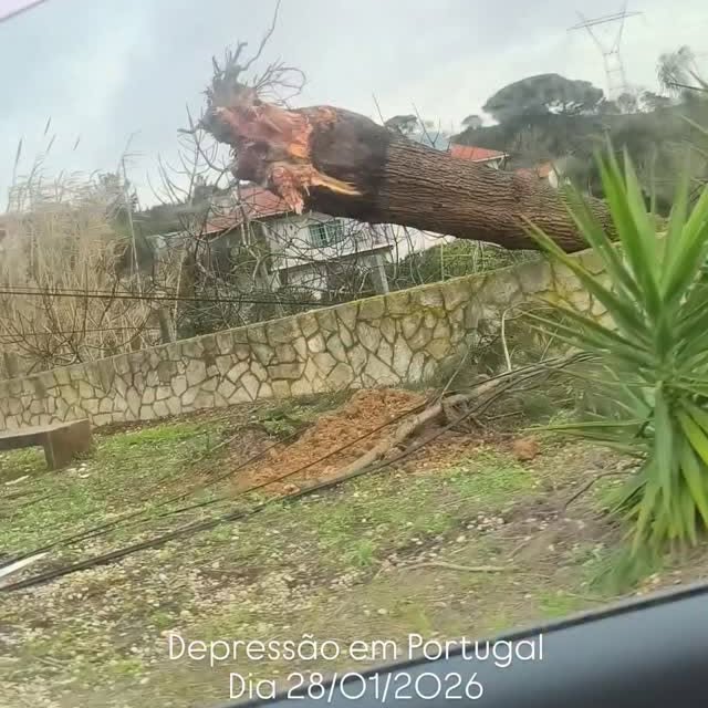  .....a_sena   'recent posts' 