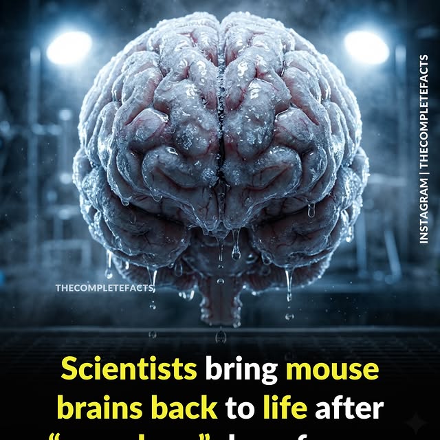  ........etefacts   'recent posts' 