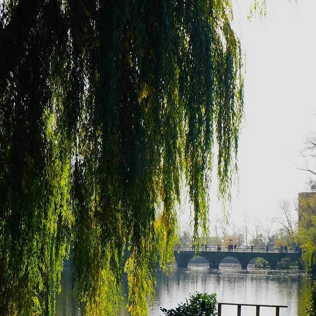  ....nizt   'recent posts' 