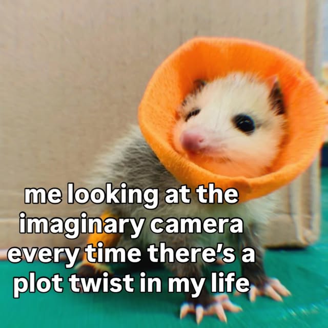  ......mthings   'recent posts' 