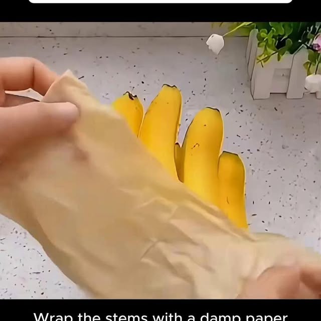  ....unkey   'recent posts' 